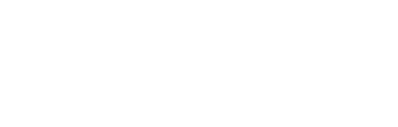 Borusan Ventures
